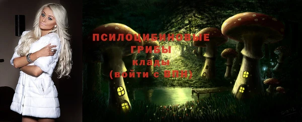 крисы Балахна