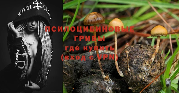 не бодяженный Арсеньев