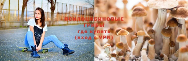 не бодяженный Арсеньев