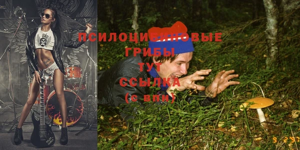 крисы Балахна