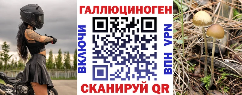 нарко площадка Telegram  даркнет сайт  Спас-Деменск  Галлюциногенные грибы GOLDEN TEACHER 