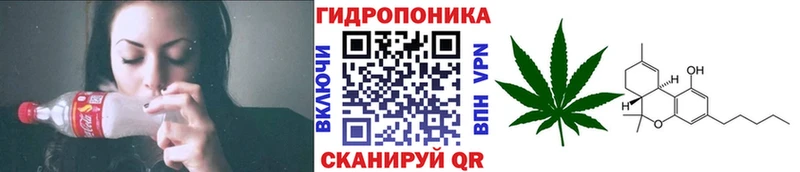 Каннабис индика  Спас-Деменск 